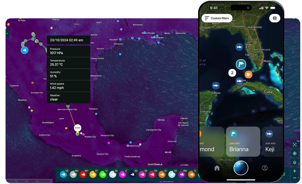 Weather map layer in mapping web application